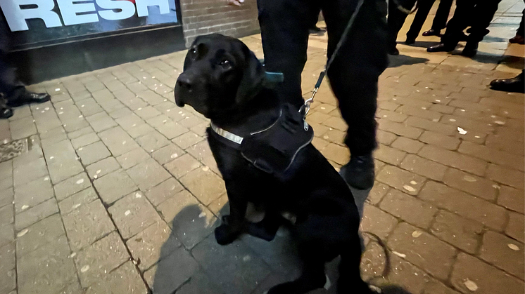 Cops stop man and find drugs after he avoids police dog