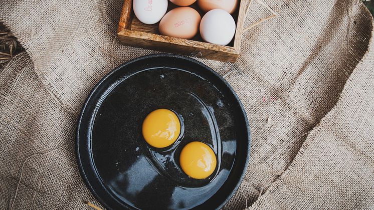 Ägg, som är en utmärkt källa till D-vitamin, har visat sig vara dubbelt så nyttigt mot vad man tidigare trott. Foto: Svenska Ägg