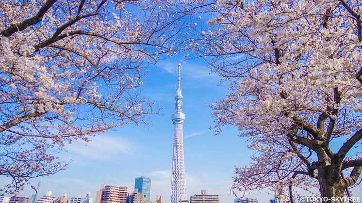 TOKYO SKYTREE is growing, and this spring and summer is the time to check out everything going on around the Tokyo landmark.
