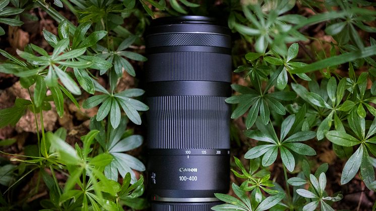 Få bredere og lenger perspektiv med Canons nye RF-objektiver