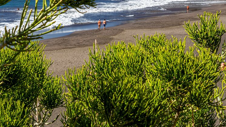 Kanarieöarna har 400 stränder och på 175 av dem är det fritt fram att njuta av en avkopplande solsemester – helt naken. 