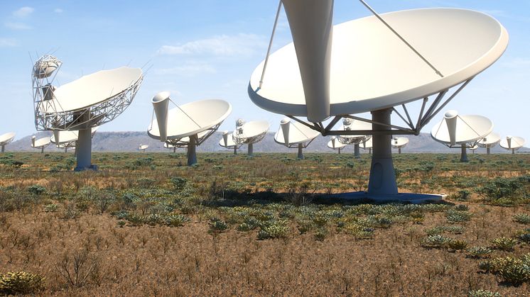 Antennerna i SKA som de kan komma att se ut. (Bild: SKA Organisation)