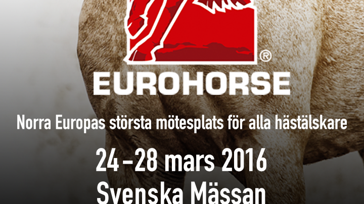 Dags för årets hästfest i Göteborg – 100 000 väntas till EuroHorse