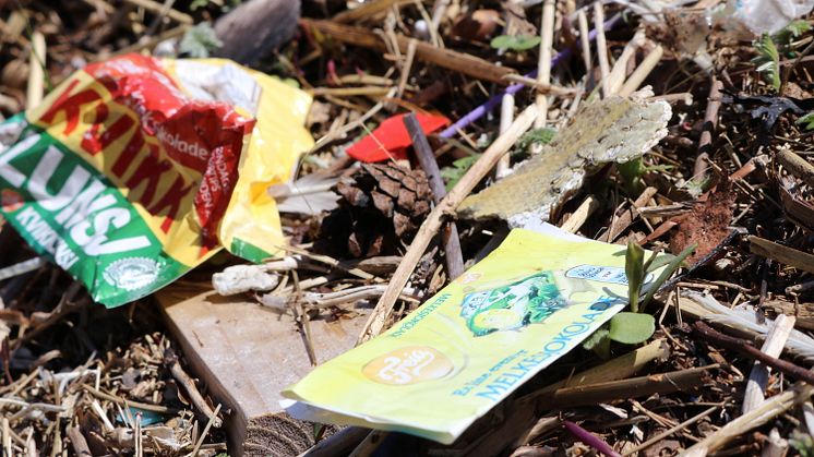 Vi slipper stadig ut mer plast til miljøet, og plastsøppel har etter hvert blitt et vanlig syn både langs strender og i andre naturområder. (Foto: David Pettersen Eidsvoll /NIVA)