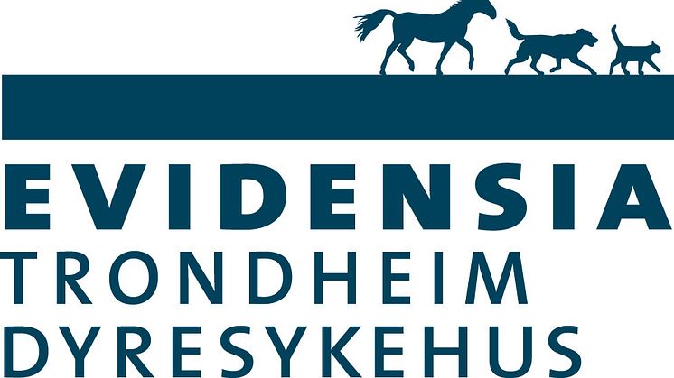 EVIDENSIA-TrondheimDyresykehus