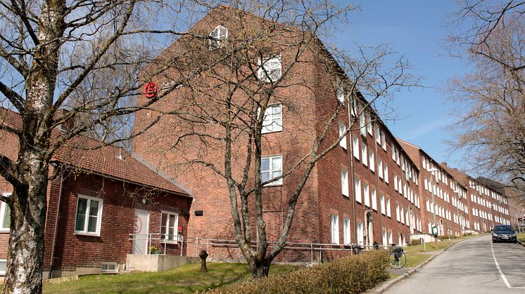 Sogn Studentby