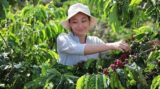 Nestlé lanserar NESCAFÉ Plan 2030 – satsning på regenerativt jordbruk, minskade växthusgaser och bättre försörjning för kaffeodlare
