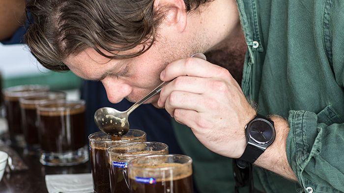 – Odling av högkvalité kaffe flyttar till allt högre altituder där det är svalare men i många länder kommer man inte högre, säger Wilhelm Nordquist, kaffeinköpare på Arvid Nordquist Kafferosteri.