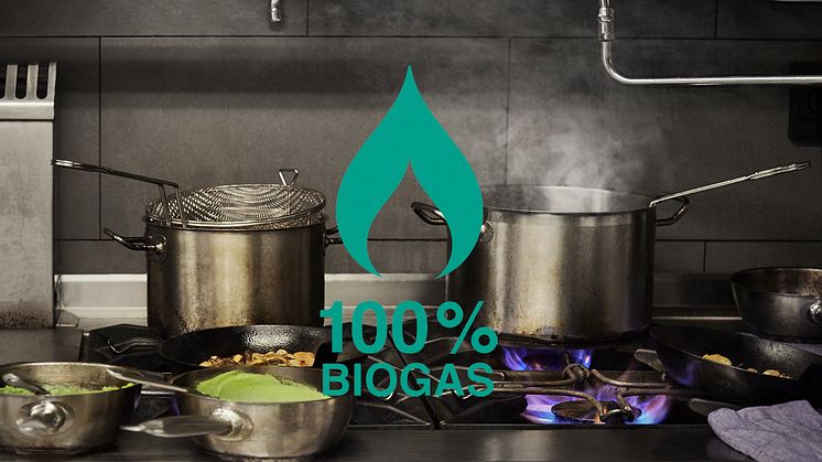 Välj en restaurang med symbolen för hållbar matlagning i White Guide
