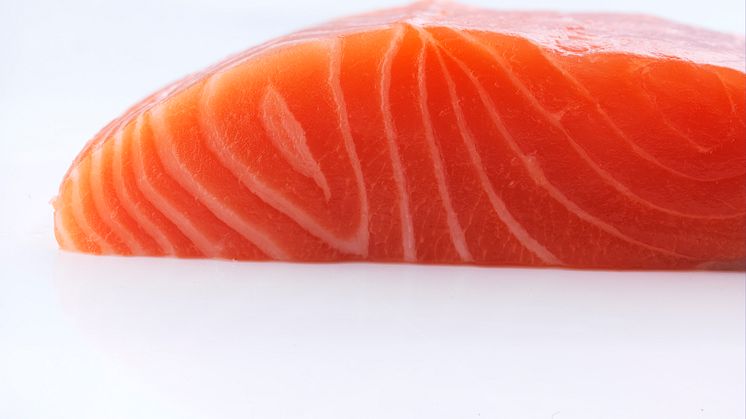 Norwegian salmon fillet