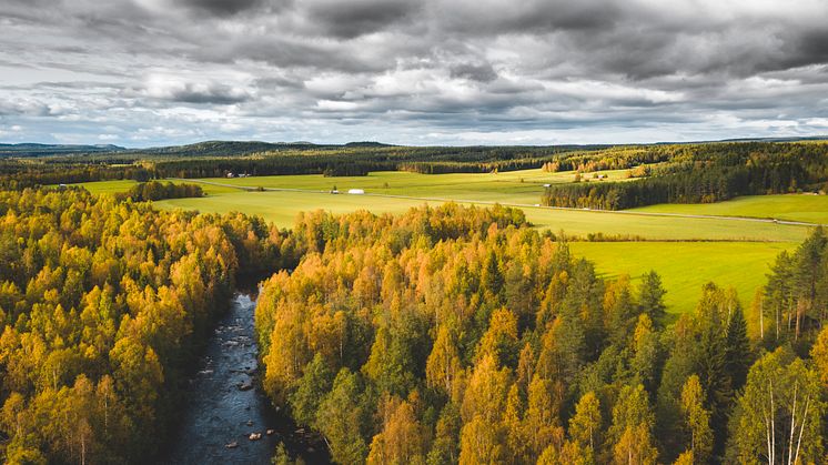 Telia får fortsatt förtroende som leverantör av teletjänster i Västerbotten och Norrbotten