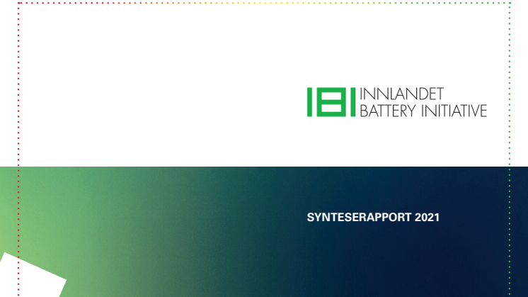IBI Synteserapport 201021.pdf
