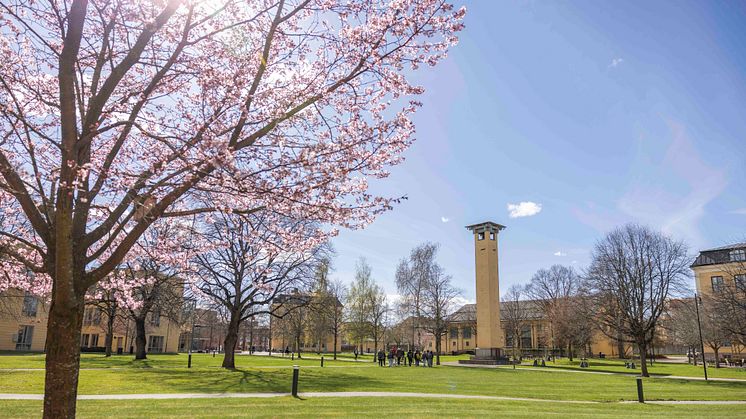 Den 17 maj är det dags för avslutningshögtiden för programstudenter vid Högskolan i Skövde.