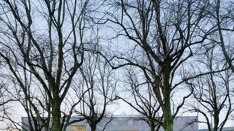 Förra året fick krematoriet i Kviberg priset "Årets bästa byggnad", arkitekt: Erseus arkitekter. Foto: Bert Leandersson