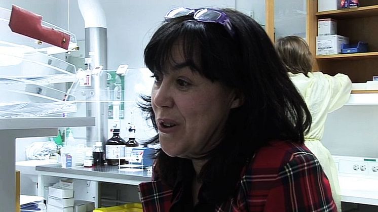 Gisela Barbany-Bustinza: Avancerad analysteknik avgörande vid leukemi