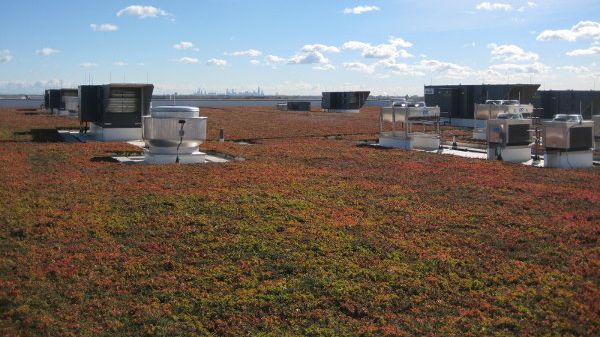Vast vegetated roof installed at Chicago O'Hare Int. Airport 