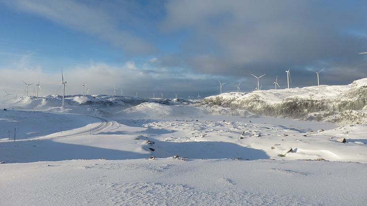 Storheia vindpark, januar 2020
