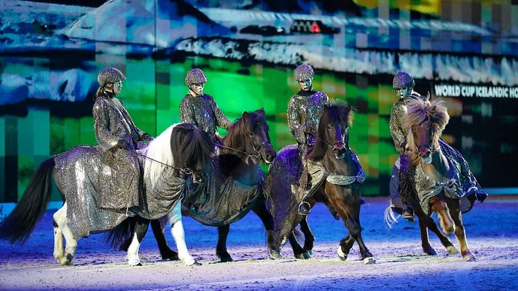 Isalndshästarna deltar både i världscup och i show under Sweden International Horse Show. Foto: Pernilla Hägg