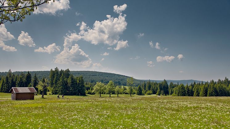 Naturidylle und Zweiradliebe _Foto_Tourismusverband Erzgebirge e.V.R.Gaens