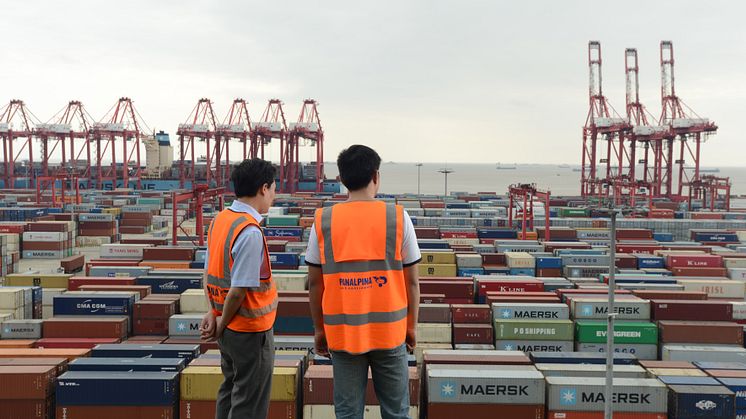 Panalpina employees looking down on containers in the port of Shanghai, China.
