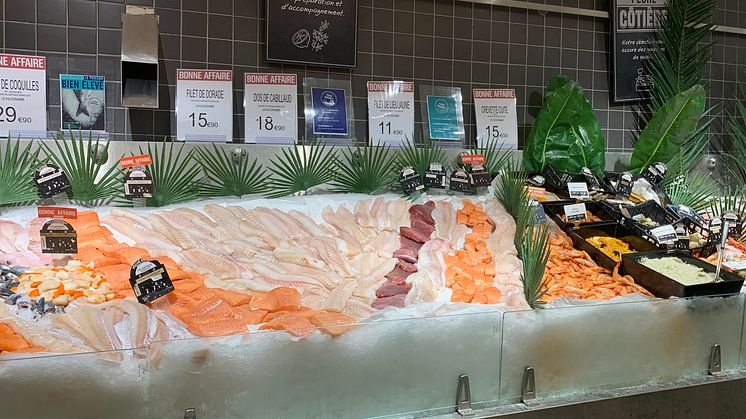 Fresh seafood in a French Supermarket