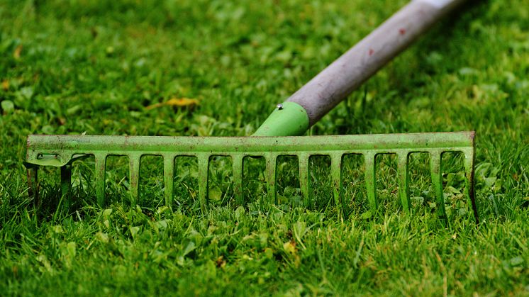 Ny tjänst för hämtning av trädgårdsavfall i Lidköping