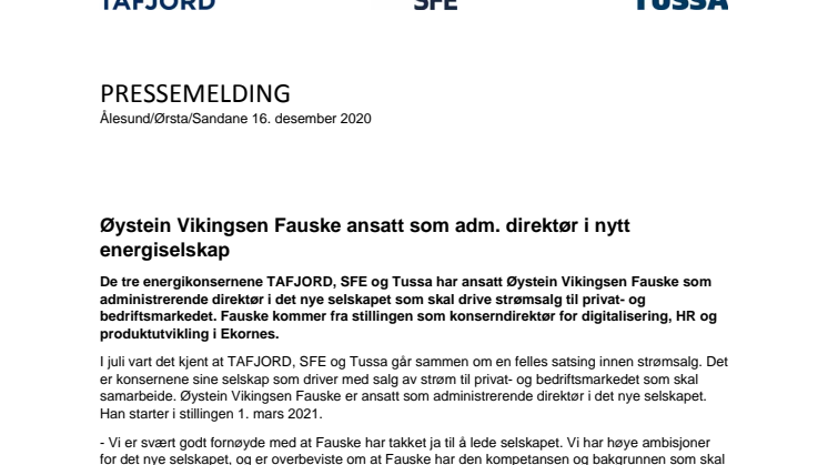 Øystein Vikingsen Fauske ansatt som adm. direktør i nytt energiselskap