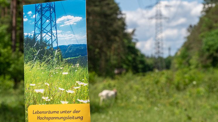 Die Bayernwerk Netz plant die Ertüchtigung der Leitung zwischen den Umspannwerken Kastenweiher in Erlangen und Eltmann im Landkreis Haßberge. Zur Projektvorbereitung beginnen ab Mittwoch, 28. Februar, die umweltfachlichen Kartierungen.