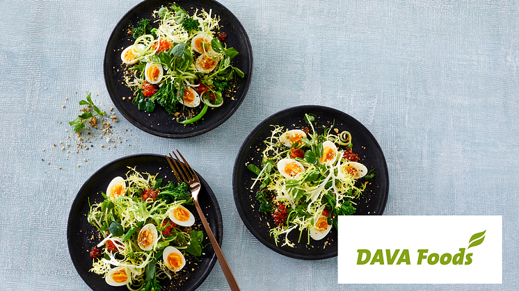 Danish Agro bliver eneejer af DAVA Foods
