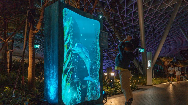 Canopy Park - Interact with Sea Creatures