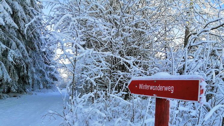 Winterwanderweg Schellerhau_Foto Touristinformation Altenberg.jpg
