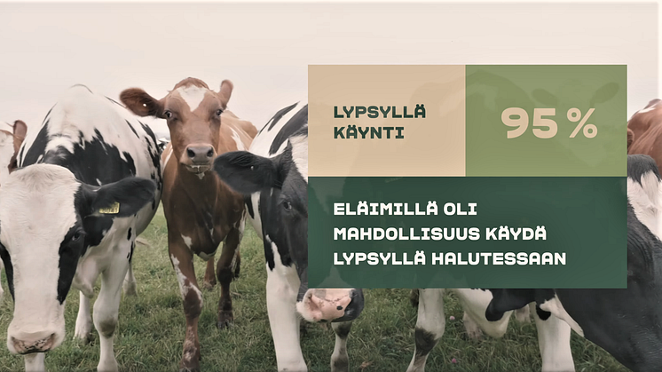 ​Arla Suomi julkisti eläinten hyvinvointia seuraavan tekoälysovelluksen – “Halusimme luoda maailman läpinäkyvimmän maidon syntymatkan”