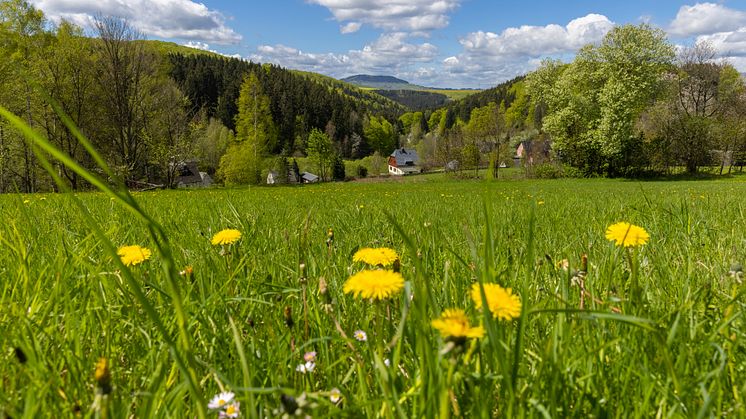 Frühlingserwachen im Erzgebirge (Foto: TVE/Ronny Küttner)