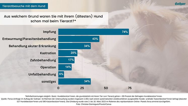 Forsa Studie Gothaer Tierkrankenversicherung Hund_Grund Tierarztbesuch
