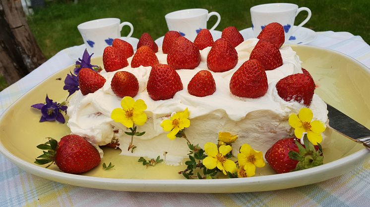 Detta är den mest lättbakade tårta man kan tänka sig och den blir riktigt god med svenska sötsyrliga bär.