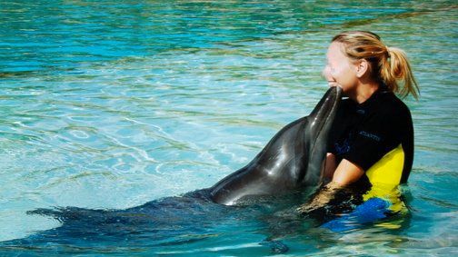 Von der sengenden Sonne schwarz verfärbter Delfin im "Dolphin Bay"-Delfinarium in Dubai