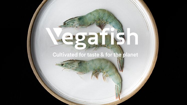 Med Vegafishs svenskodlade vannameiräkor kan du med gott samvete äta hållbara jätteräkor, ursprungsmärkta med Från Sverige. Idag finns jätteräkorna på menyn hos stjärnkrogar.