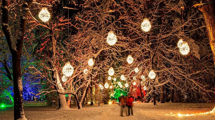LUMAGICA in Schloss und Park Lichtenwalde ab 25 November_Foto MK Illumination