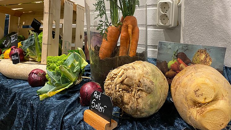 Under september månad fokuserar Kävlinge kommun på närproducerade grönsaker tillsammans med lokala producenter av majskolvar, morötter, palsternacka och potatis.