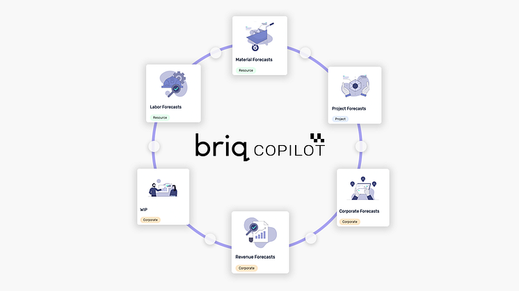 Briq_Co-Pilot (C) Briq