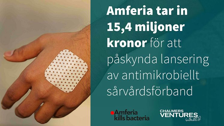 Amferia tar in 15,4 miljoner kronor för att påskynda lanseringen av innovativt antimikrobiellt sårvårdsförband