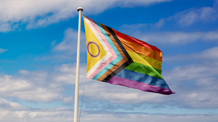 The Progress Pride flag flying against the sky. Royalty-free stock illustration ID: 2175534001.