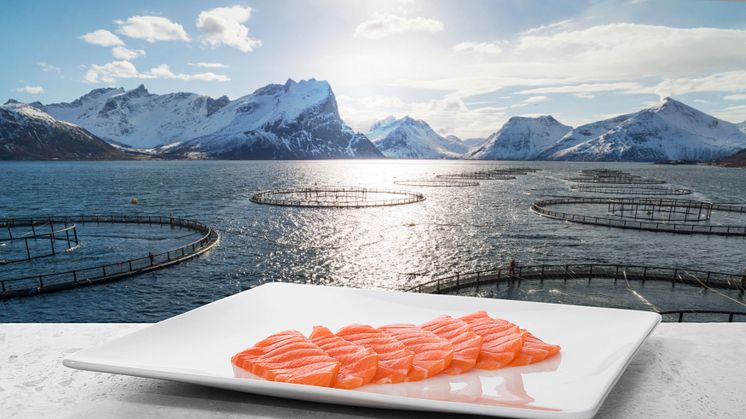 Norwegian seafood exports grew by 7 per cent in August