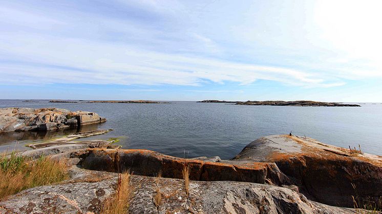Östersjösamarbete ska öka kunskapen om PFAS i avloppsvatten