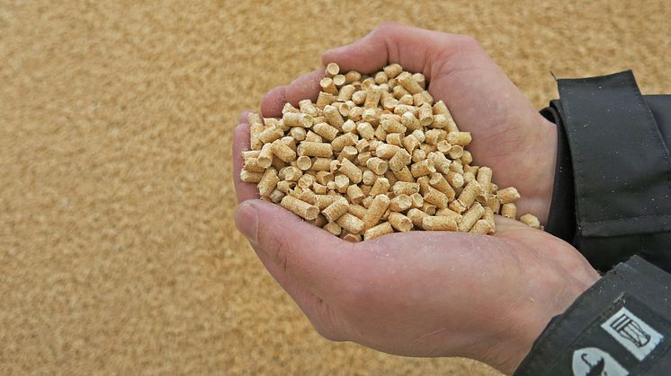 Under 2016 tillverkades drygt 1,7 miljoner ton pellets i Sverige.