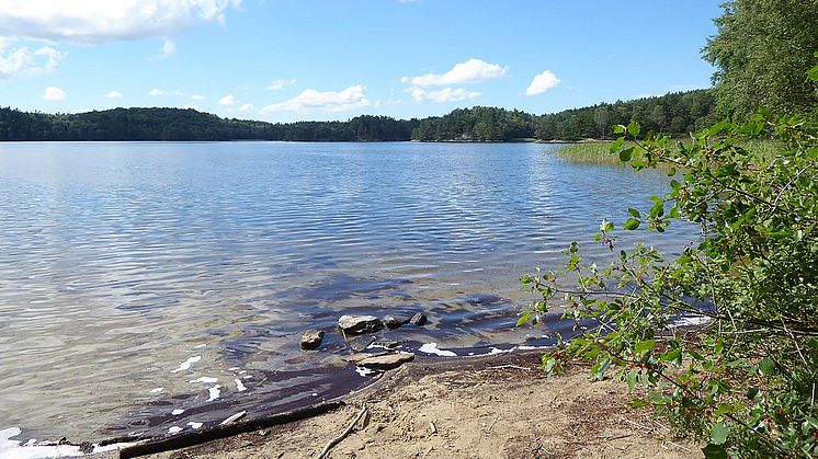 Stora Kåsjön (Västergötland, Sweden), Foto: R. Henrik Nilsson. Wikimedia. Creative commons Share Alike 4.0