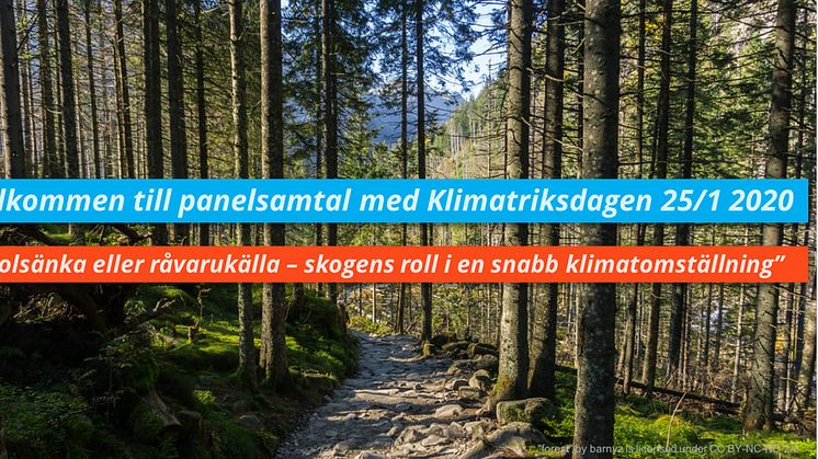 RÅVARUKÄLLA ELLER KOLSÄNKA Panelsamtal om skogens roll i en snabb klimatomställning av Sverige