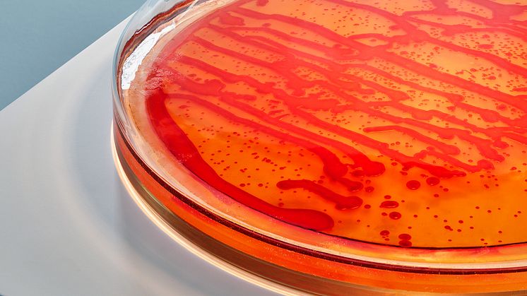 Bacteria in a new light av Jan Klingler. © Inter IKEA Systems B.V. 2020