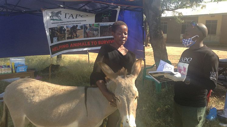 WTG-2020-Tansania-Tierhalterin-Esel