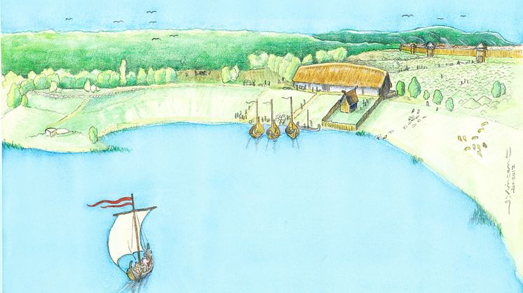 Illustration av hur den vikingatida stormannagården kan ha sett ut. Illustration: Jacques Vincent.